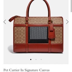 NOT SELLING, IM LOOKING FOR THIS BAG